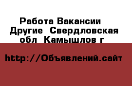 Работа Вакансии - Другие. Свердловская обл.,Камышлов г.